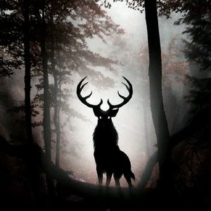 Meet your Posher, Johnathan